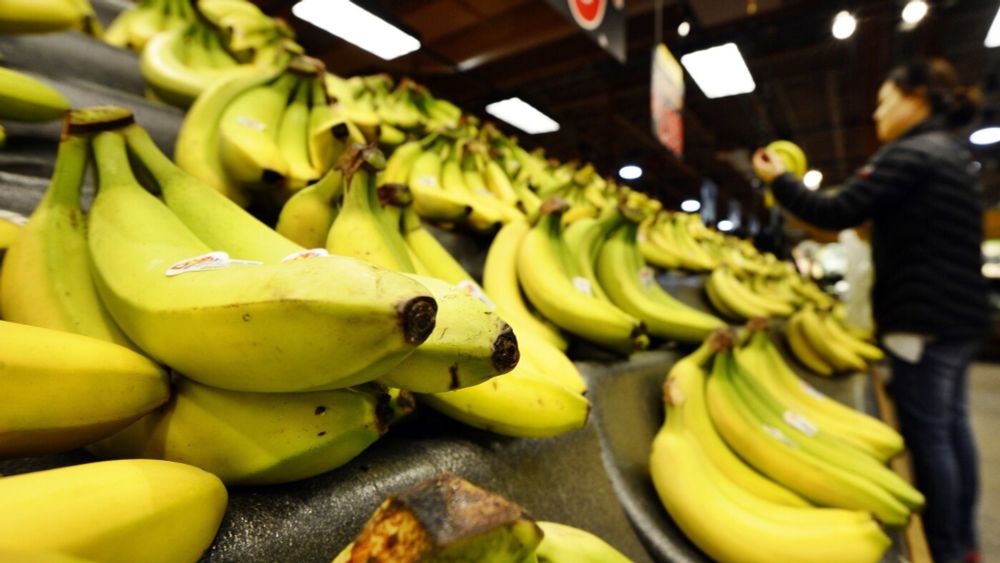 Why bananas may become one of the first casualties of the dockworkers strike