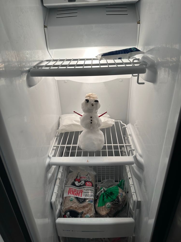 Mini snowman in the freezer 