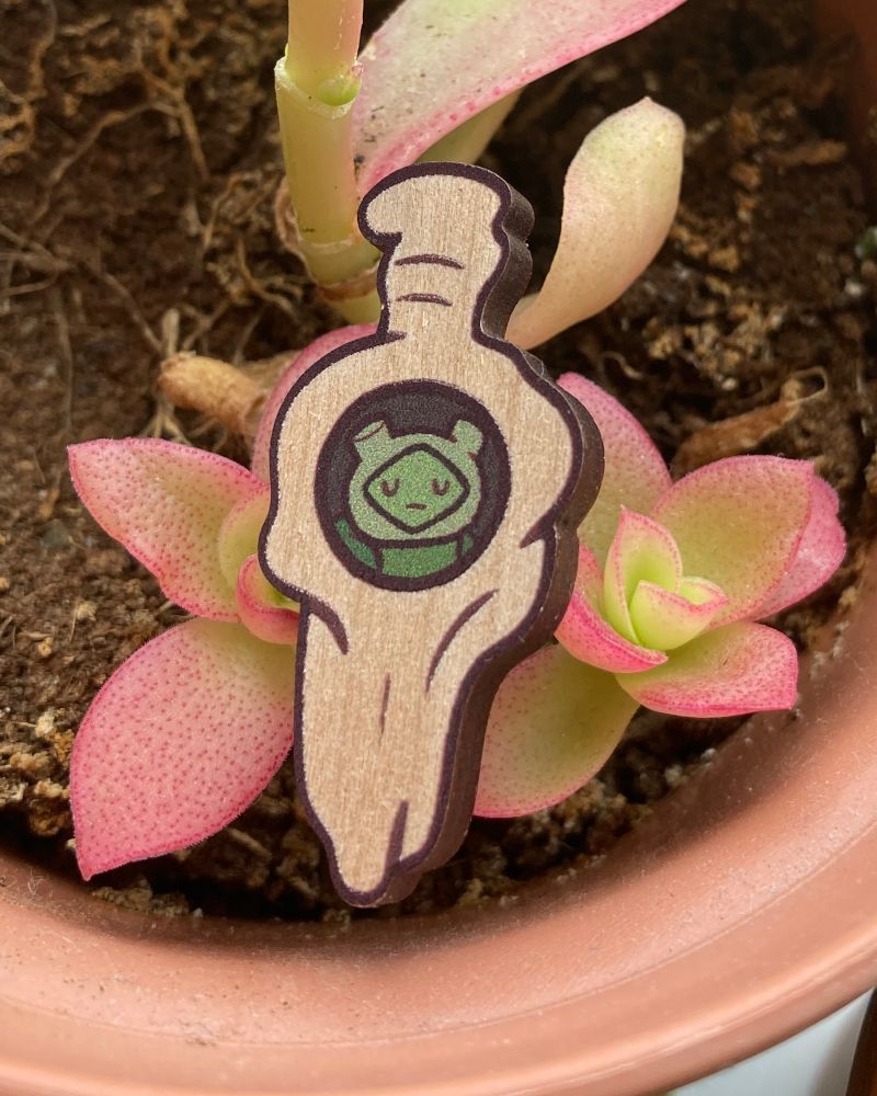 A wooden pin of the Fern seed/sword from adventure time with Fern in the centre 