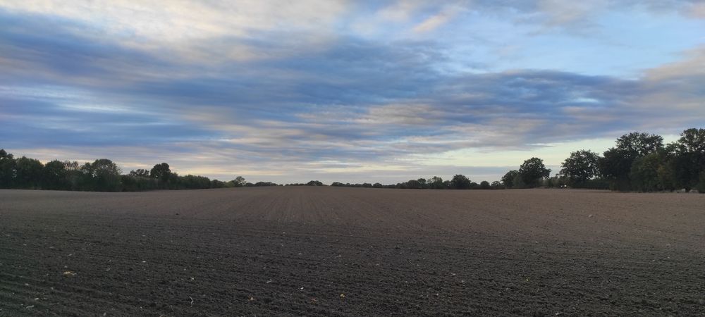 Autumnal Zen Garden (facing North)