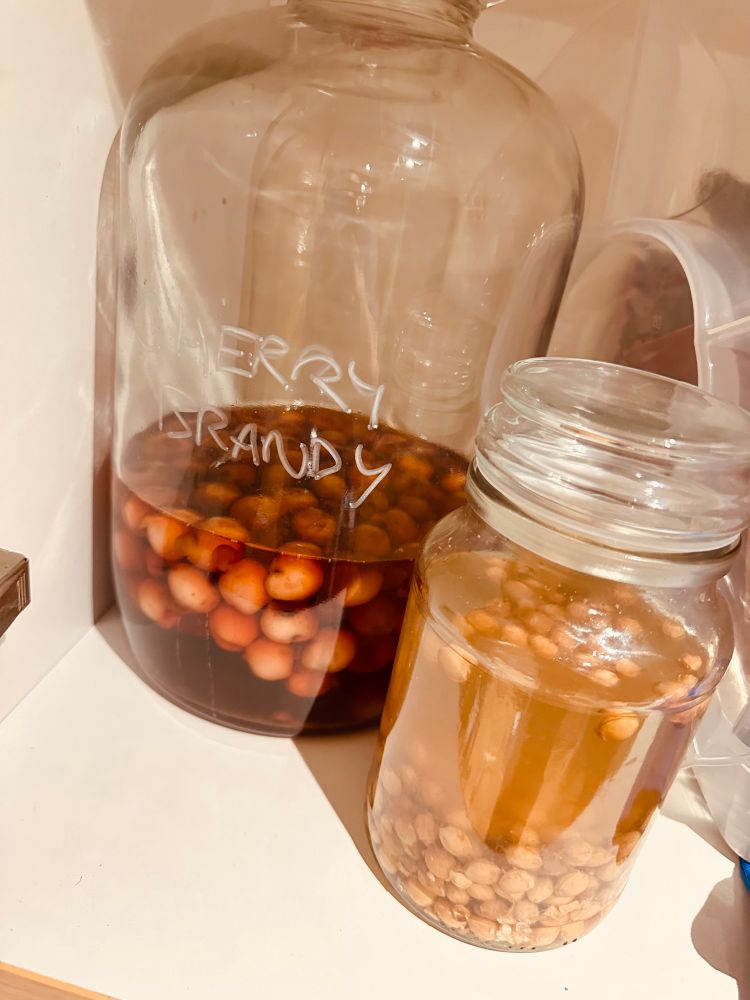 A big demijohn with cherry brandy and a smaller jar with the cherry pits in vodka to make Kirsch