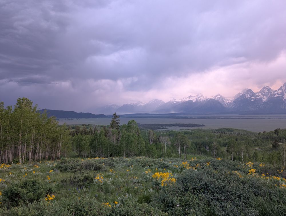 Rainfall across a field with trees near the Teton Mountain range.