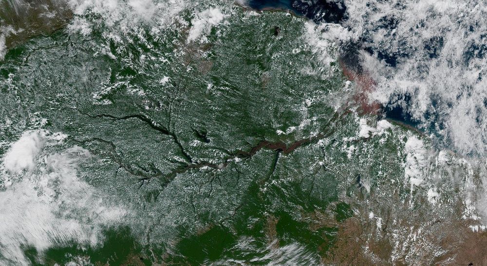A visible satellite image of vast fields of puffy cumulus clouds over the Amazon rainforest, with cloud-free skies over the Amazon River itself where the atmosphere is more stable.