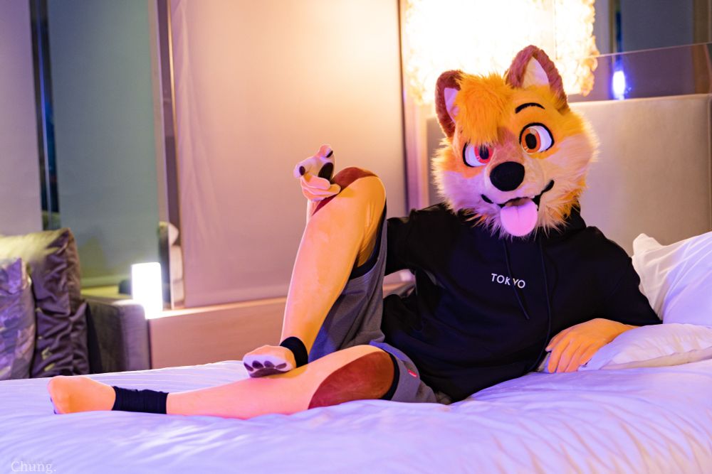 A yellow dingo fox fursuit lying in bed looking at you invitingly