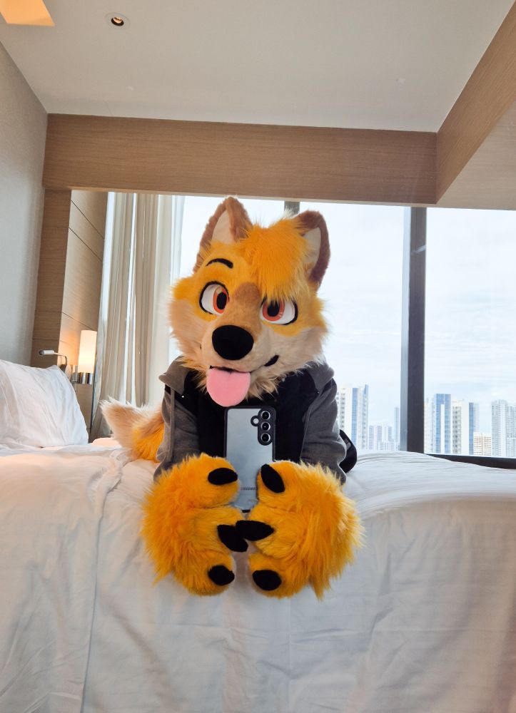 a yellow dingo fox lying in bed holding a camera at the mirror taking a selfie 