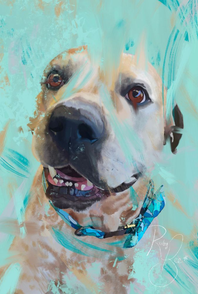 A painting of a white and orange spotted American bulldog cross Rottweiler looking up. He’s wearing a patchy blue bow tie. There are colourful blue and orange brushstrokes surrounding the dog.