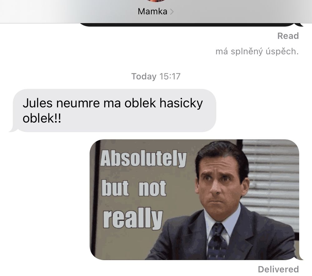 a screenshot of a text from my mom in czech, which in translation says “Jules won’t die because she has the firefighter suit!!”

I in response sent a GIF from the Office with Michael saying “Absolutely but not really”