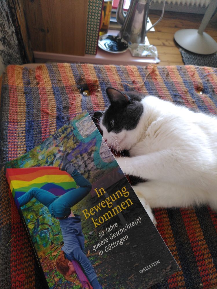 Cat lying on couch "reads" in a book on queer histories in Goettingen