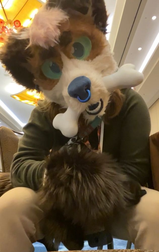 Auggie tilting his head at u 🫠