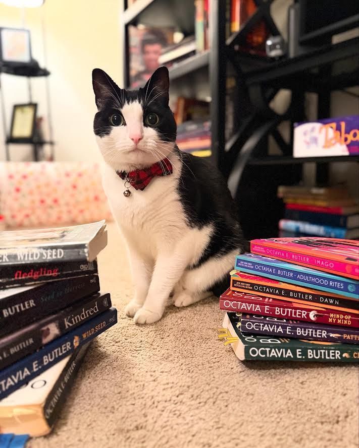 Tuxedo cat standing next in between two stacks of books written by Octavia E. Butler