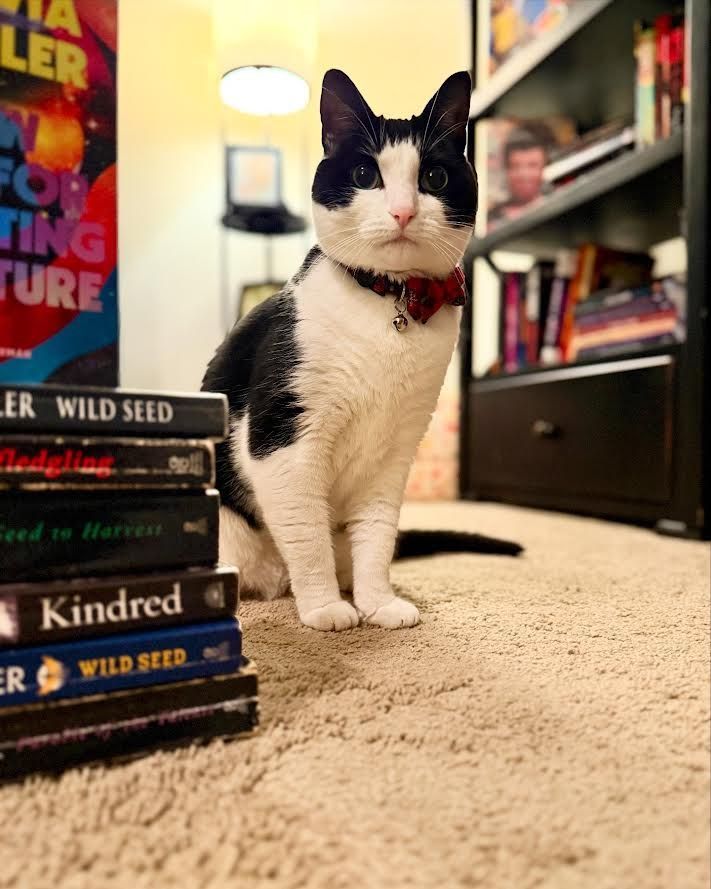 Tuxedo cat standing next to a stack of books written by Octavia E. Butler