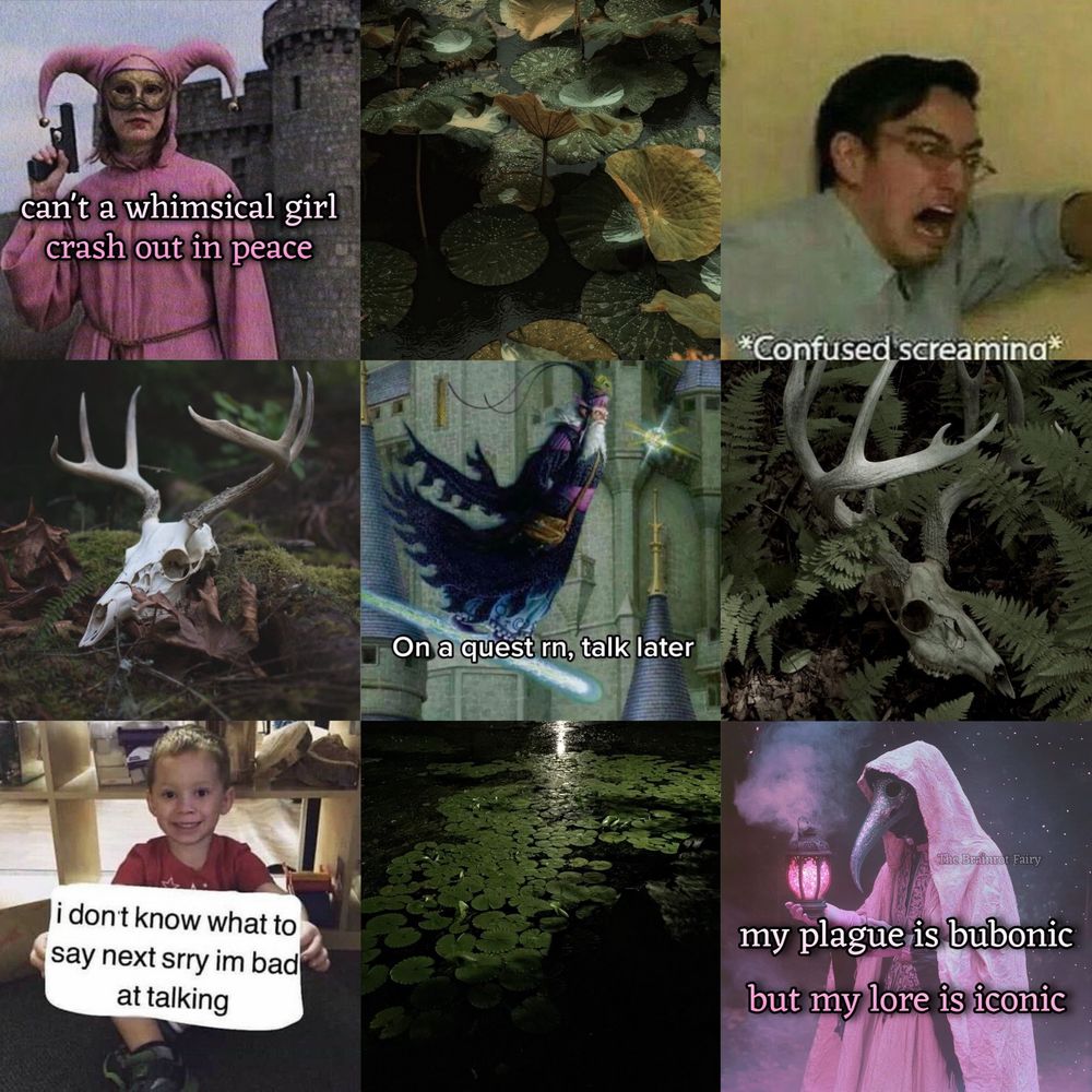 a nine picture meme moodboard 

row 1, 3 pics: a pink jester holding a gun that says “can’t a whimsical girl crash out in peace,” a picture of green lily pads, a man screaming labeled *confused screaming*
row 2, 3 pics: a deer skull sitting on moss, a floating wizard meme that says “on a quest rn, talk later,” another deer skull in a field of ferns
row 3, 3 pics: a little boy holding a sign meme where the sign says “i don’t know what to say next srry i’m bad at talking,” a dark lake with green lily pads, a plague doctor with the raven mask and a pink cloak and lantern with text that says “my plague is bubonic but my lore is iconic”