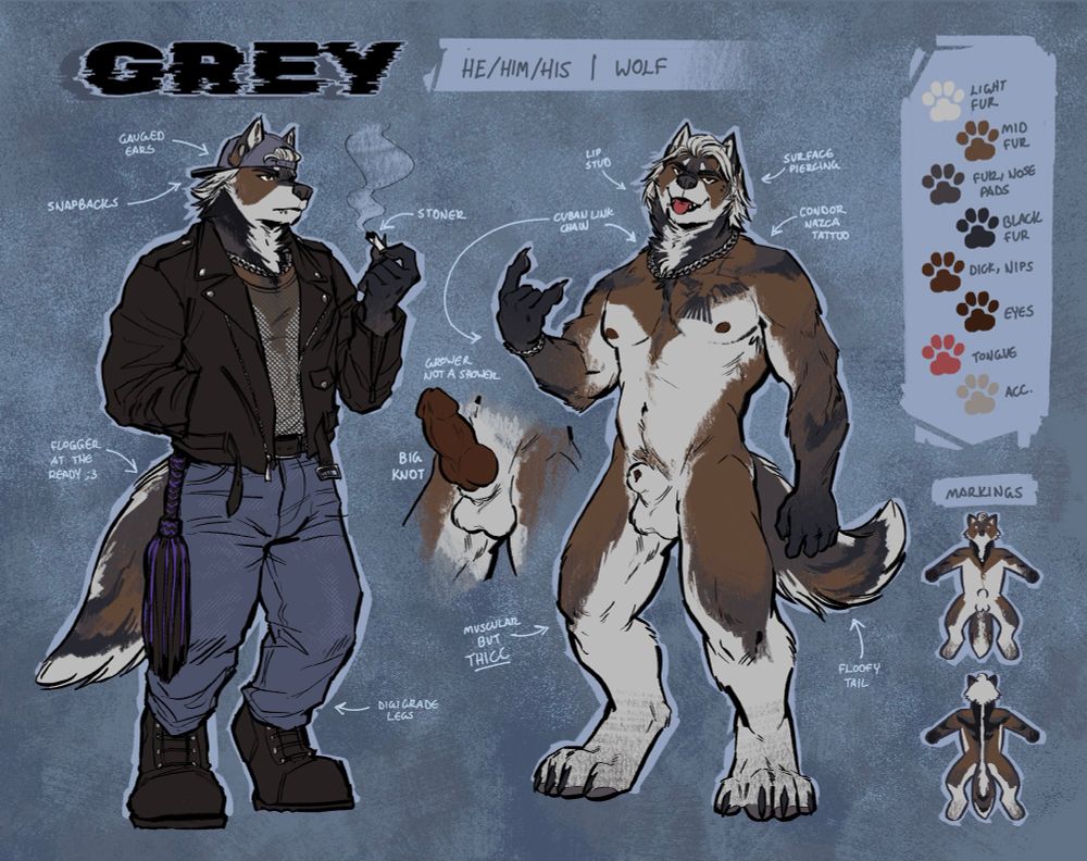 Ref sheet for a buff anthro wolf character, with brown, grey, and black fur markings. On the left he wears a full outfit with a leather jacket, mesh shirt, jeans, and a flogger hanging at the waist