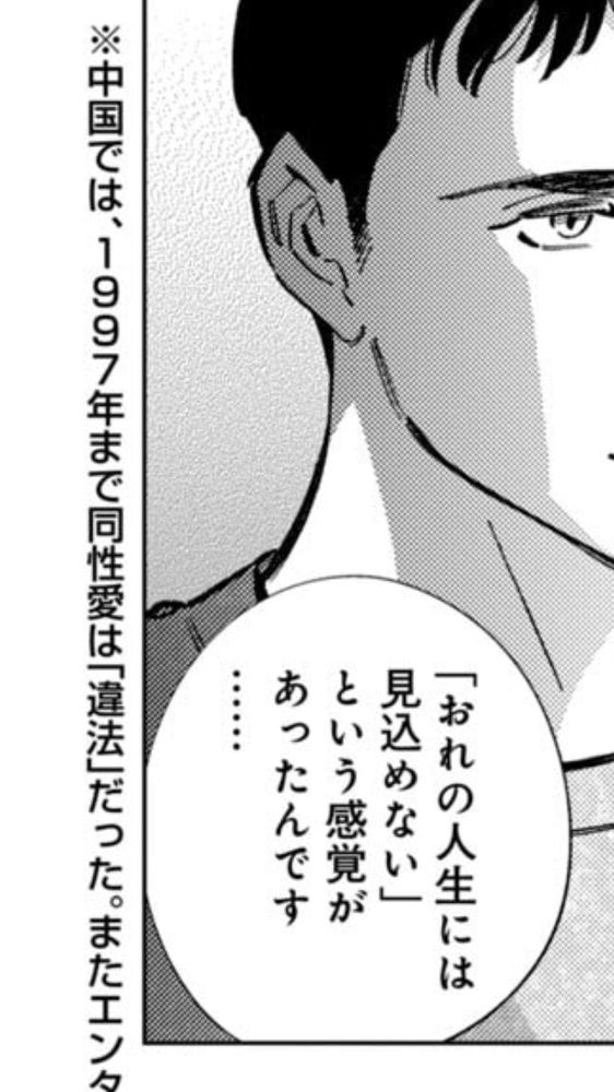 マンガのコマ外の注釈『※中国では1997年まで同性愛は「違法」だった。』

東京サラダボウル━国際捜査事件簿━5巻　より引用