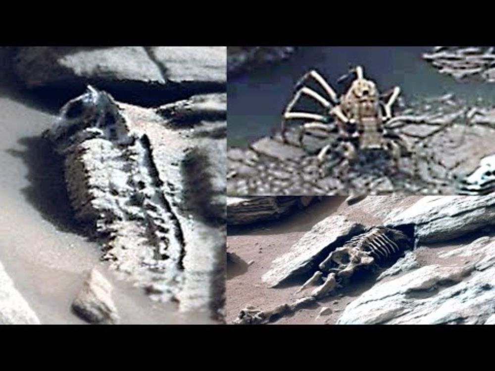 This Man Just Exposed Mars Darkest Secrets