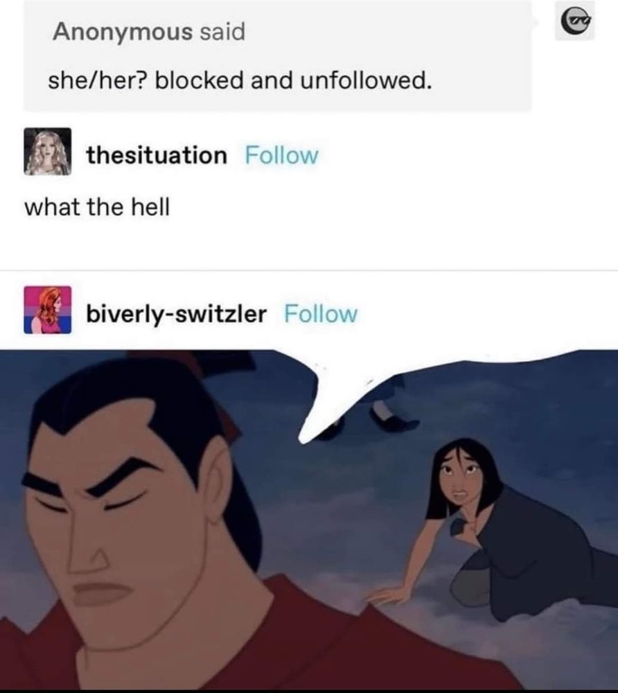 The following social media exchange occurs in a word bubble above Li Shang's head as he walks away from Mulan once she was revealed to be a woman: anonymous said "she/her? Blocked and unfollowed", TheSituation: "what the hell?"

