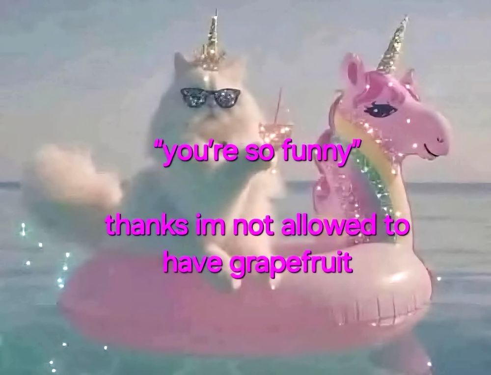 A fluffy white cat dressed as a unicorn riding an inflatable unicorn in a pool. Text overlay reads: "you're so funny." Thanks I'm not allowed to have grapefruit.