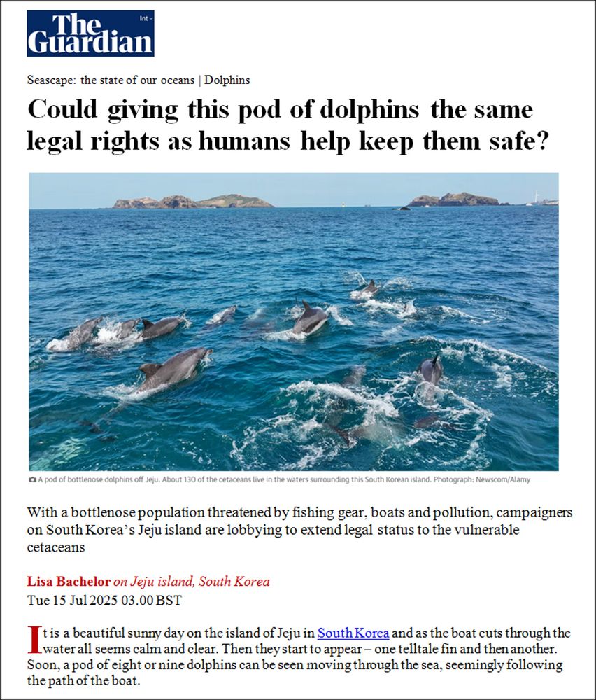 Title, journalist’s name, photograph of an ocean scene with bottlenose dolphins, headline, and first paragraph of a news article published in The Guardian about whether giving legal rights to dolphins would help to protect them