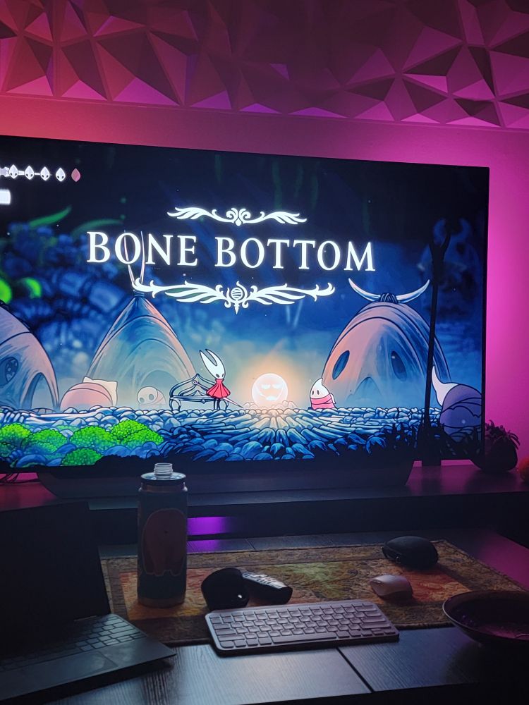 A picture of silksong. The text on the screen says "Bone Bottom" 