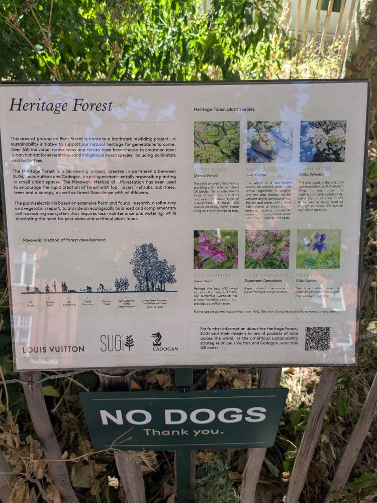 Information on the forest