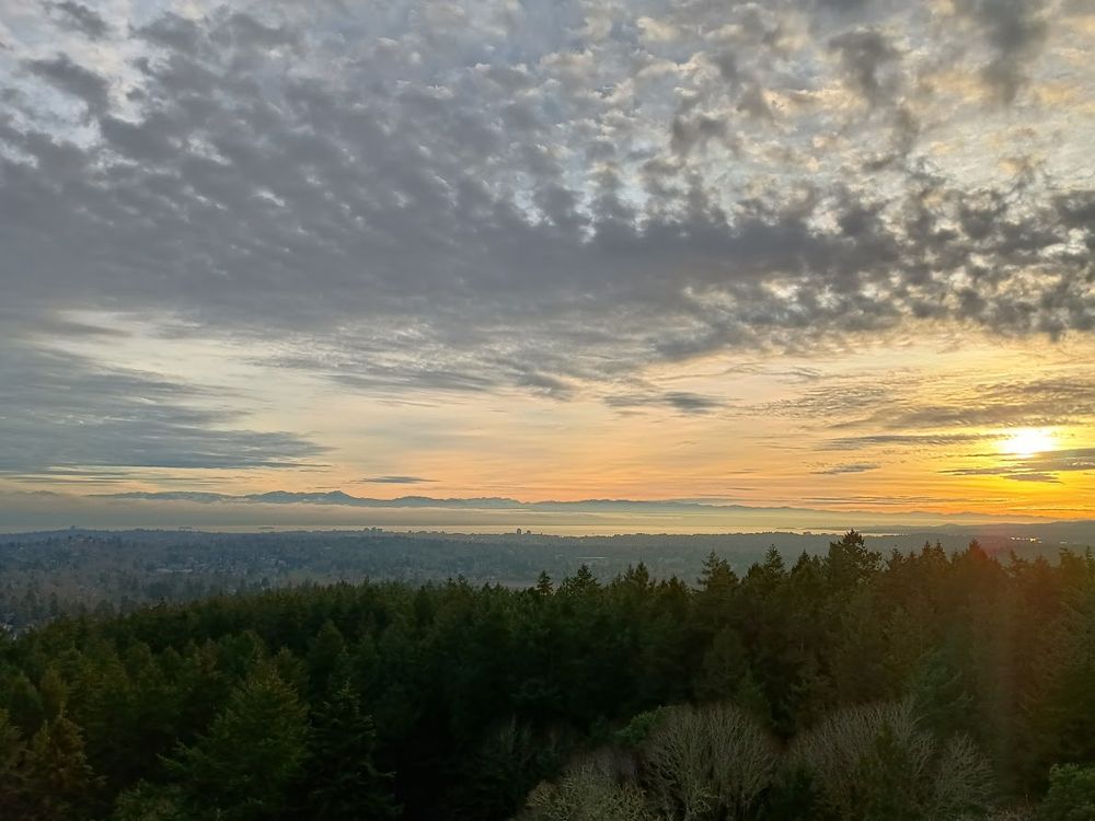 A picture of forests, the Salish sea, and Canada's 11th province in the distance. 