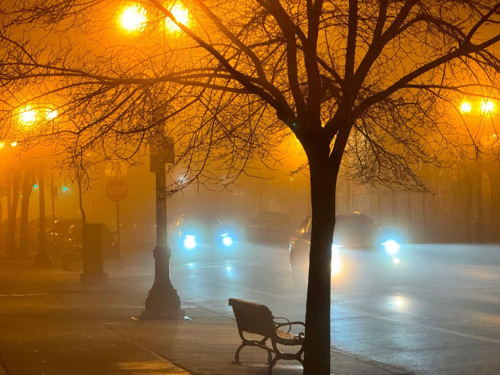 A foggy night looking diagonally across Wilson Avenue. You can't really see most of the buildings. The street lights cast an orangish glow to the fog. The lights from a couple of cars cast a whiter, bluer light. The trees are barren of foliage and look a little scary.