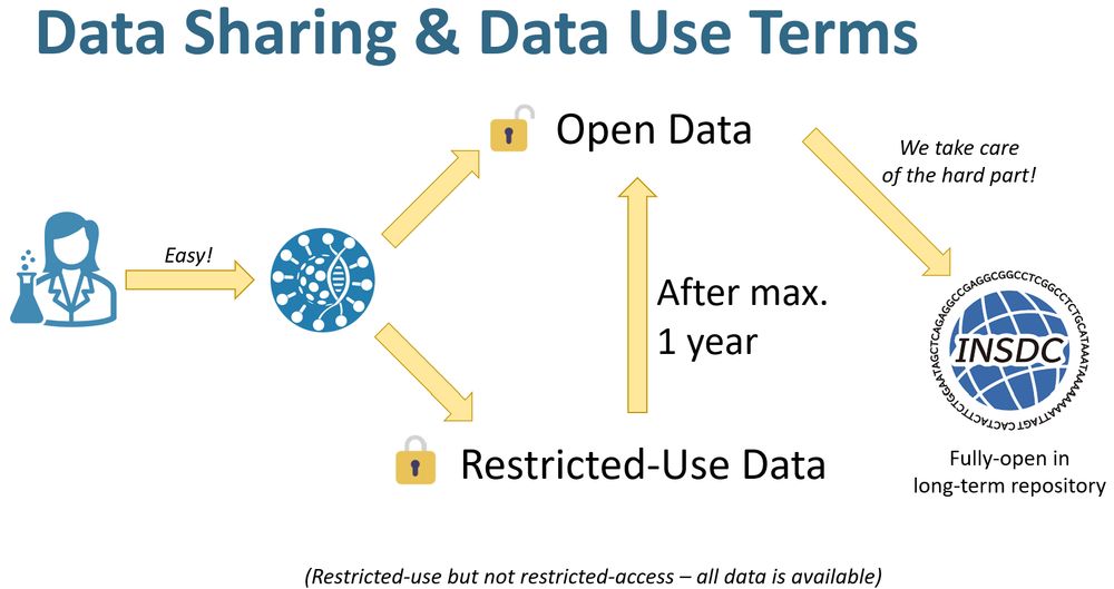 A diagram showing how users can easily upload data to Pathoplexus and choose to share this as 'Open data' which can be used by other without restriction, or 'Restricted-use' data which requires permission to publish or preprint on. Restricted-use data can be restricted for up to 1 year, after which it becomes Open, and is always available to view. Open data is automatically submitted to INDSC (Genbank, ENA, DDBJ) by Pathoplexus on behalf of the submitter.