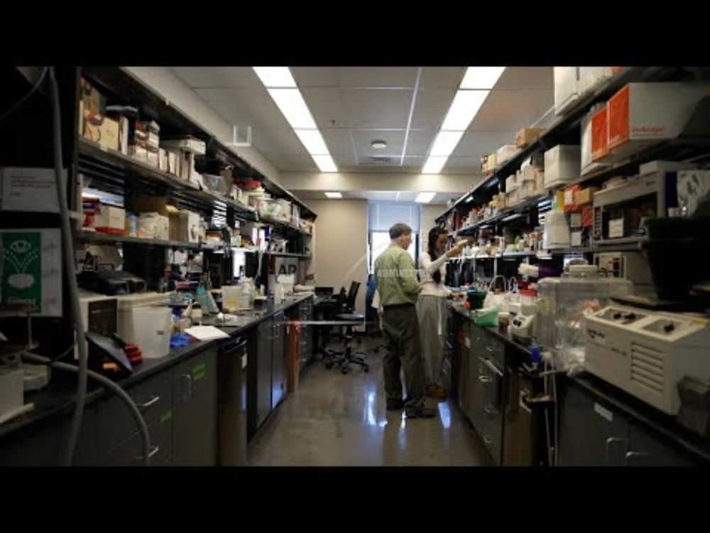 Jobs lost in every state and life-saving cures not discovered: The expected impact of research cuts