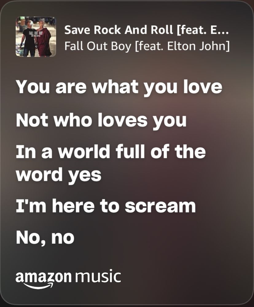 Lyrics to save rock & roll by fall out boy- “you are what you love/not who loves you/in a world full of the word yes/im here to scream/no, no”