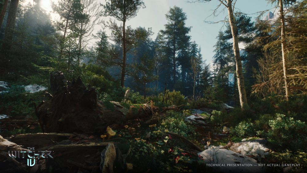 Screenshot from The Witcher 4 Unreal Engine 5 Tech Demo shows a lush forest, with a fallen tree in the foreground alongside patches of snow. The Witcher 4 logo is printed in the bottom left corner alongside text that reads, “Technical Presentation — Not Actual Gameplay.”