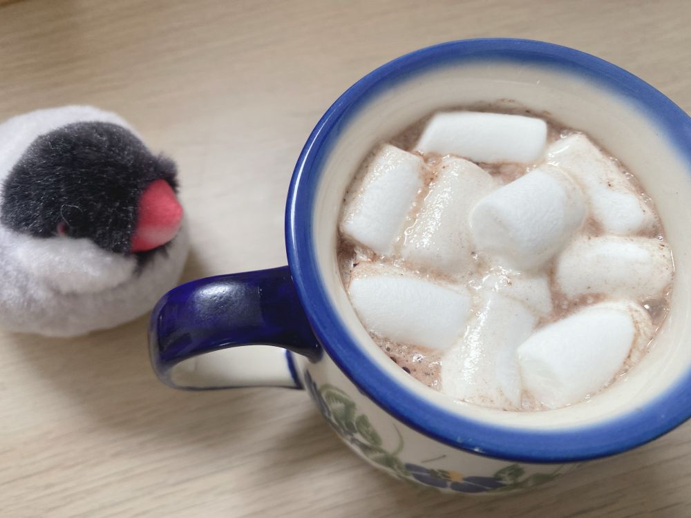 マシュマロを入れたココア
文鳥のぬいぐるみが見守っている
