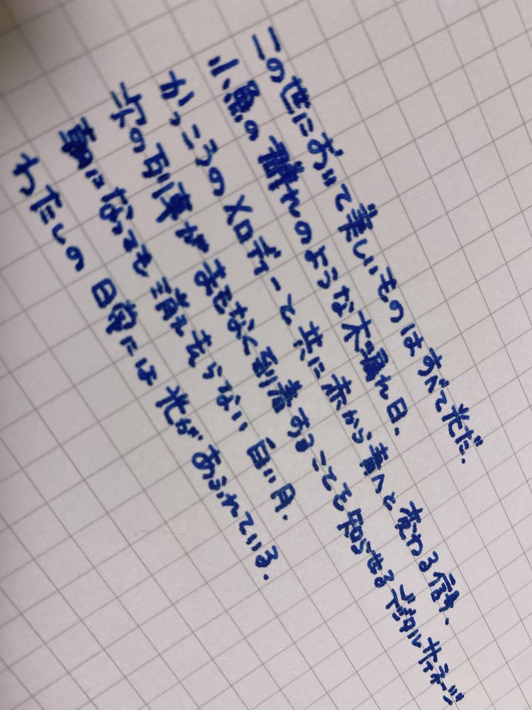 この世において美しいものはすべて光だ.
小魚の群れのような木漏れ日、かっこうのメロディーと共に赤から青へと変わる信号、次の列車がまもなく到着することを知らせるデジタルサイネージ、朝になっても消え去らない白い月.
わたしの日常には光が溢れている.

ロイヤルブルーのインクでノートに書いてある
