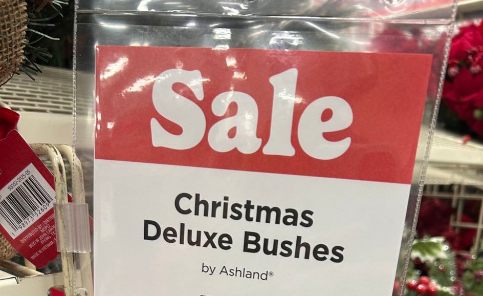 Photo of a sign that says SALE CHRISTMAS DELUXE BUSHES 
