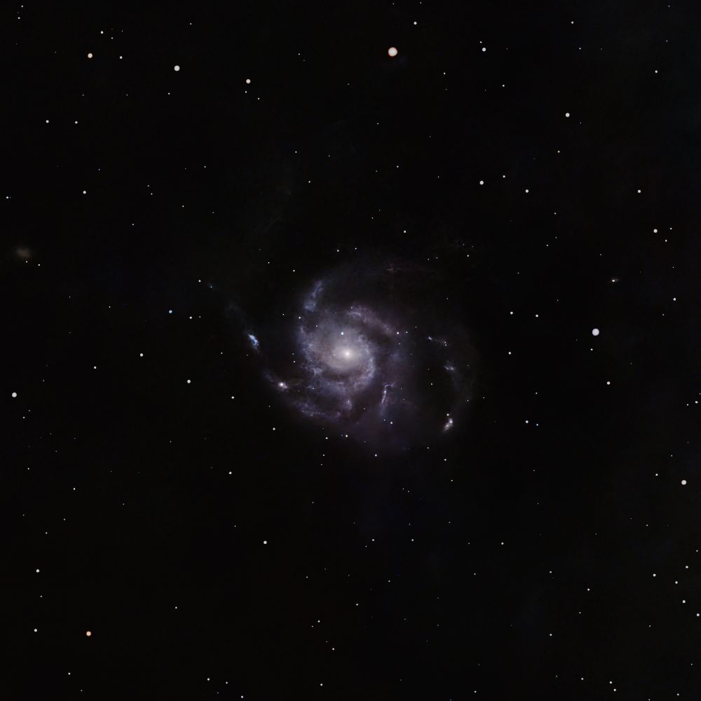 Photo of the Pinwheel Galaxy