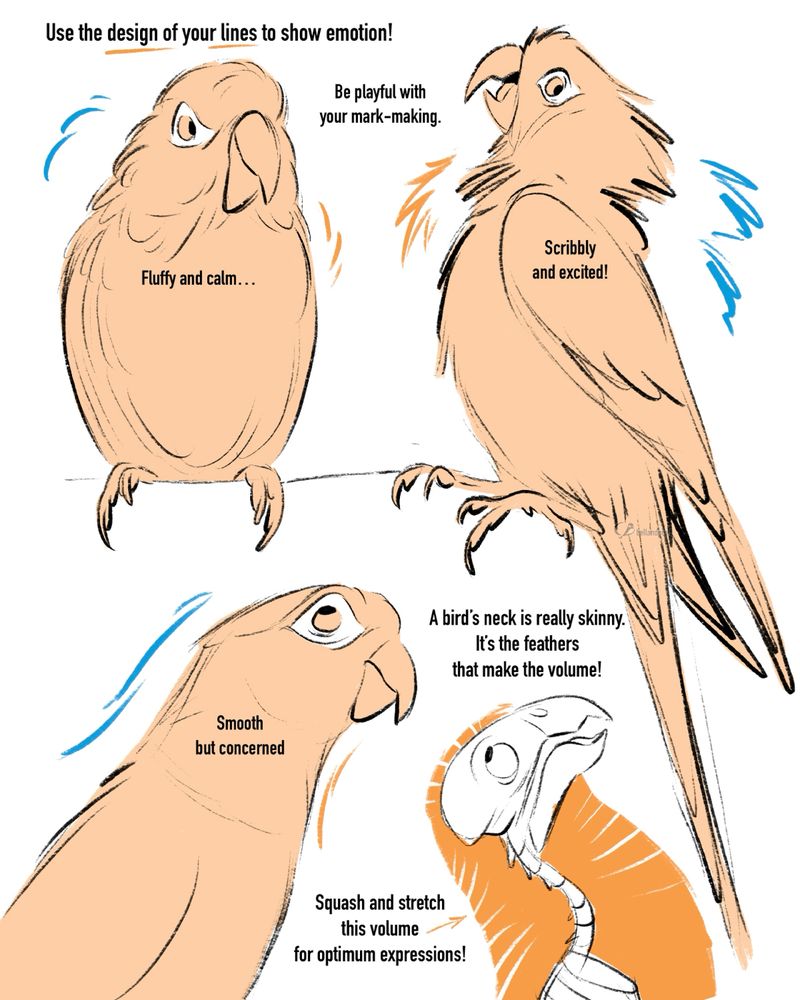 A drawing tutorial that shows how the energy of mark-making / how you draw your lines can be used to visually define the adjective of the pose. Drawings of little conure parrots that show how their neck feathers can show emotion. Drawings by Charlotte Belland 