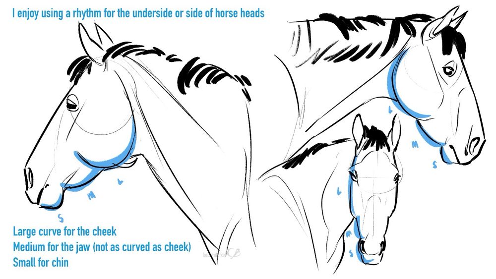 Tutorial drawing for three different horse head poses 