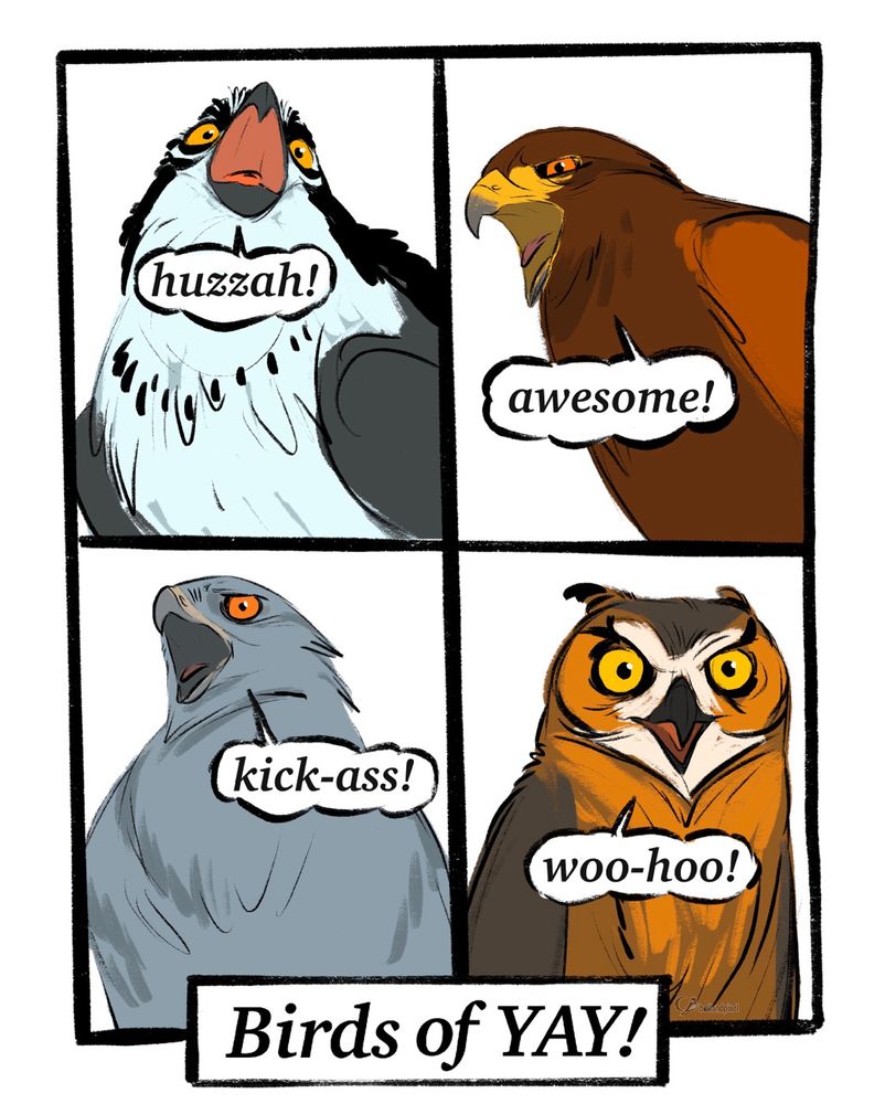 A cartoon labeled “Birds of YAY!” featuring an Osprey, Harris’s Hawk, Northern Harrier and a Great Horned Owl. Birds are saying “Huzzah!” “Awesome!” “Kick-ass!” and “woo-hoo!” Drawing by Charlotte Belland