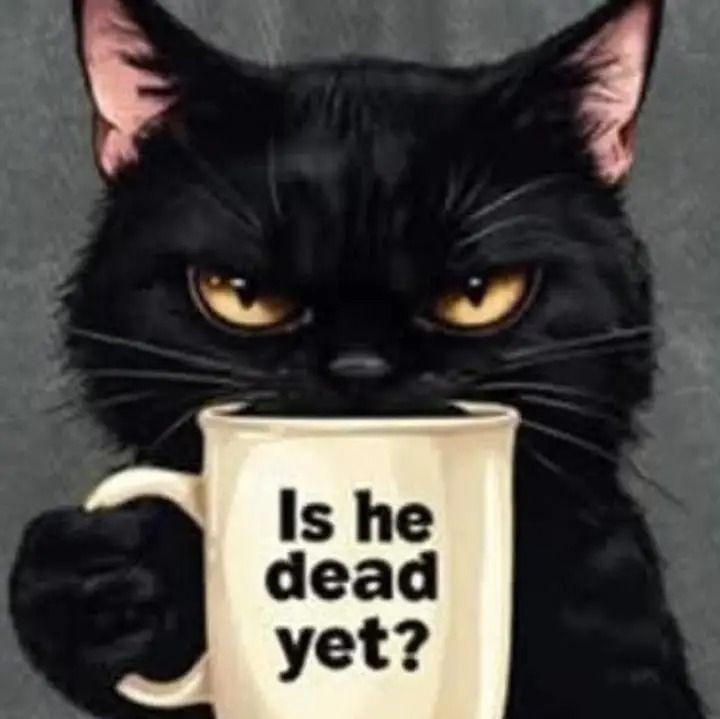 Black cat,.yellow eyes, looking over the rim of a white coffee cup that says "is he dead yet?"