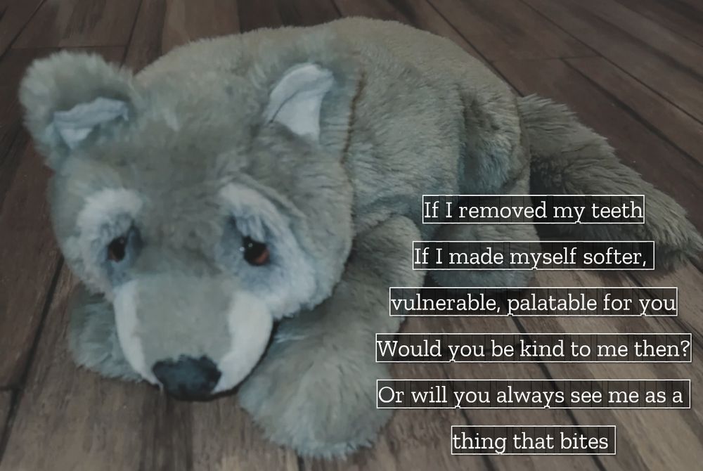 Plush wolf with the caption; "If I removed my teeth
If I made myself softer, 
vulnerable, palatable for you
Would you be kind to me then?
Or will you always see me as a 
thing that bites"