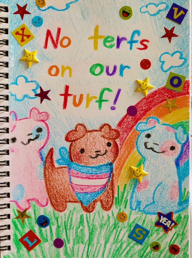 Drawing of puppies with trans pride colors and a rainbow in the background with the caption; "no terfs on our turf!" 