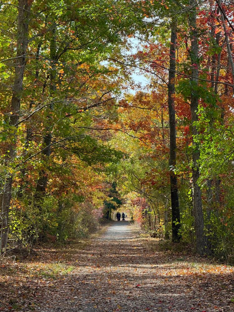 A pretty rail trail in Danvers, MA.