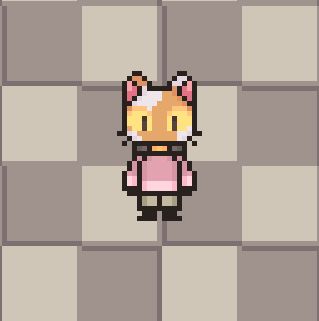 Cute cat Echo cat in an area that looks strangely like a testing area.