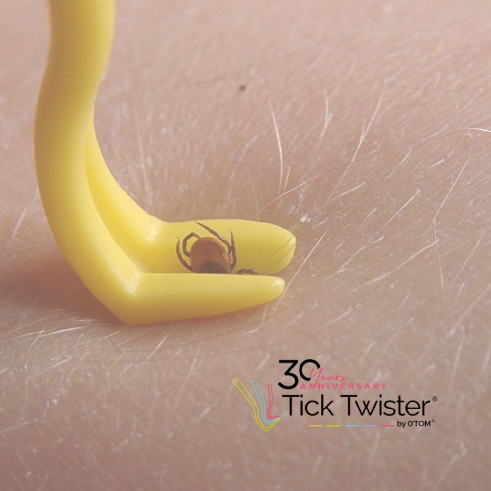 Tick being removed by Tick Twister tool