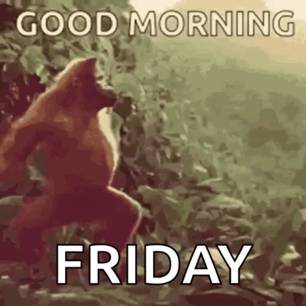 a gorilla is standing on a rock in the jungle with the words `` good morning friday '' .