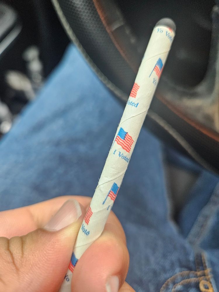 Me holding a "I Voted" stylus 