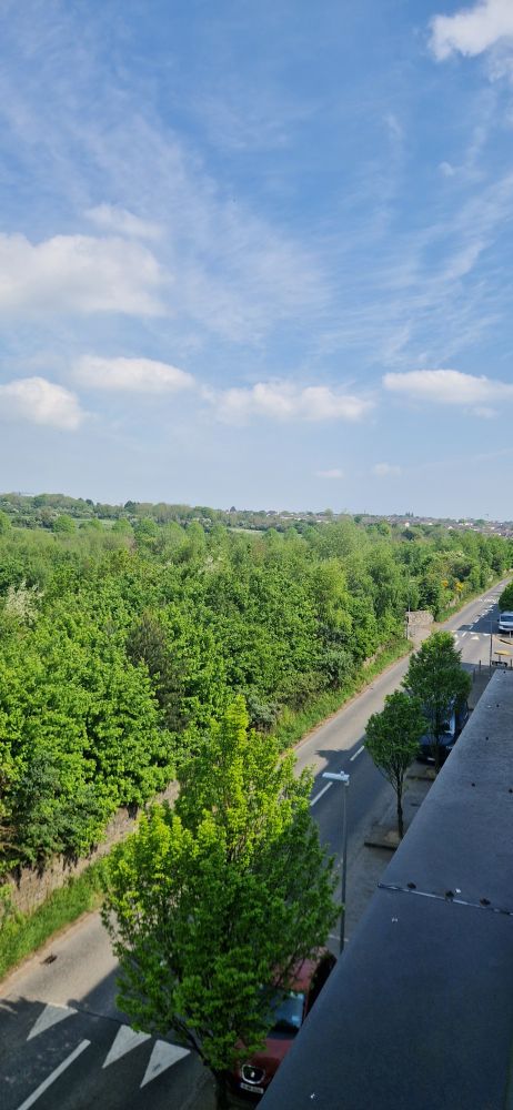Foto aérea de un parque dublinés lleno de árboles verdes y con el cielo semi despejado