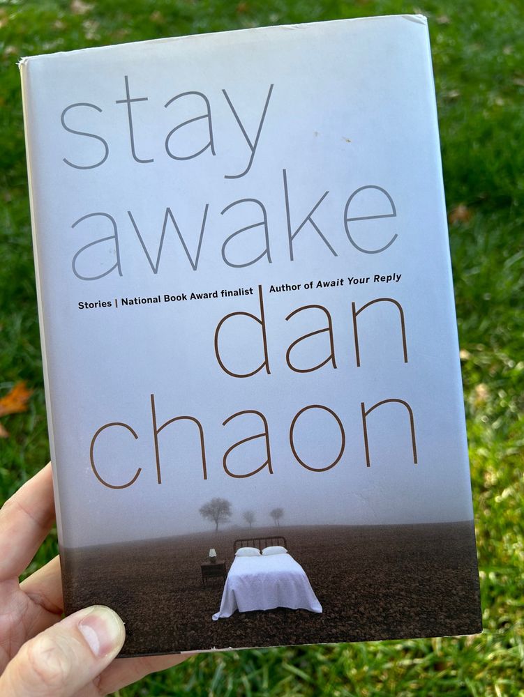 Book cover. Stay Awake by Dan Chaon. Misty field with bed.