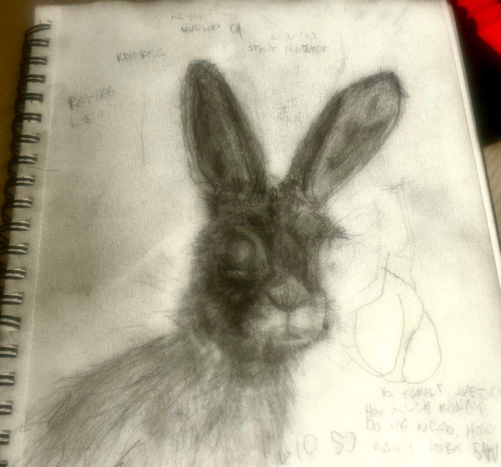 Picture of a messenger from the spirit world in the exact form of a hare - done w pencil