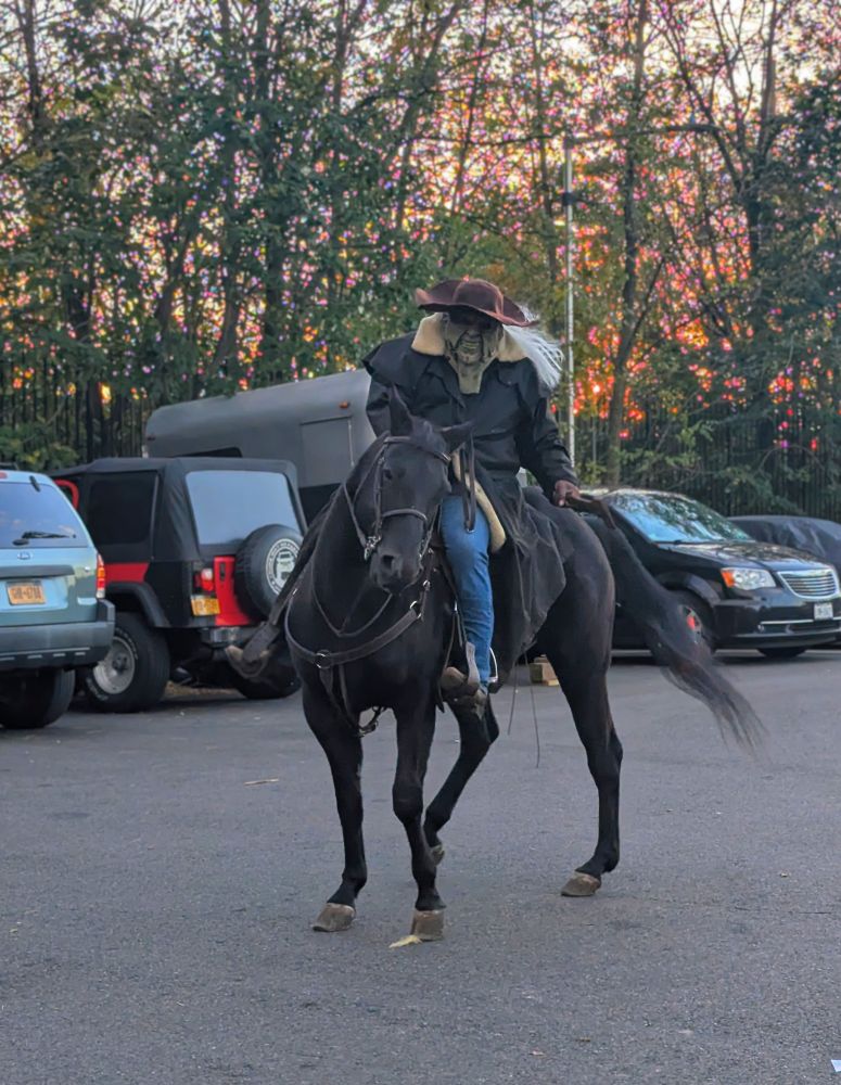 Photo of Jeepers Creepers on Bourbon, a black horse 