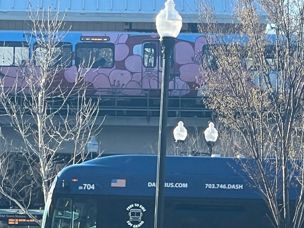 The Washington Metro Train with cherry blossom 🌸 flowers painted on the side.